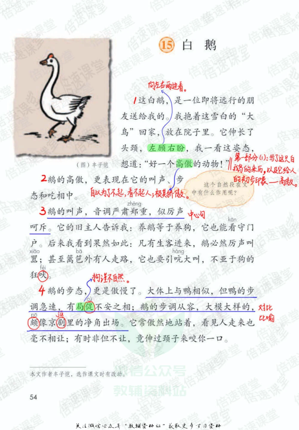 四年级下册语文部编版课堂笔记（倍速版）_小学初中学霸笔记类资料汇总6.33GB_小学同步课堂笔记2.76GB_1~6年级全册语文部编版课堂笔记
