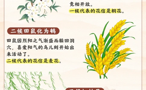 明天清明节-给孩子讲讲这些清明小知识_2025抖音最火小学全科全年级资料大全集超完整版_小学常识VIP资源禁止外传