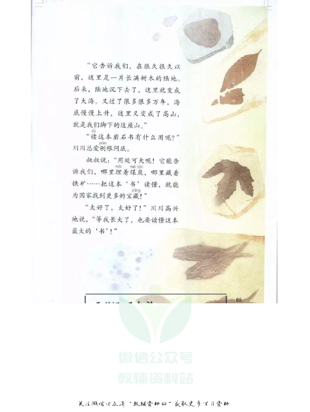 二年级下册语文部编版课堂笔记（飞翔版）_小学初中学霸笔记类资料汇总6.33GB_小学同步课堂笔记2.76GB_1~6年级全册语文部编版课堂笔记