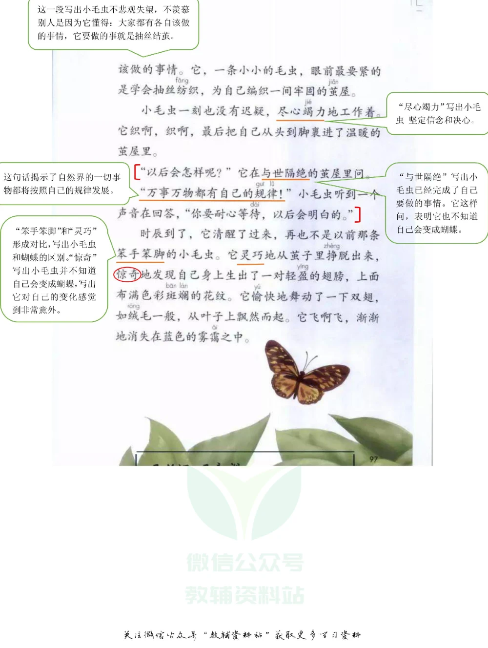 二年级下册语文部编版课堂笔记（飞翔版）_小学初中学霸笔记类资料汇总6.33GB_小学同步课堂笔记2.76GB_1~6年级全册语文部编版课堂笔记