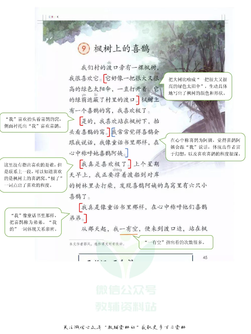 二年级下册语文部编版课堂笔记（飞翔版）_小学初中学霸笔记类资料汇总6.33GB_小学同步课堂笔记2.76GB_1~6年级全册语文部编版课堂笔记
