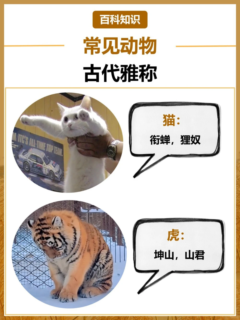 常见动物的古代别称古人真的好讲究_中小学精品资料(高清可打印)_百科知识大全集312份高清资料整理版