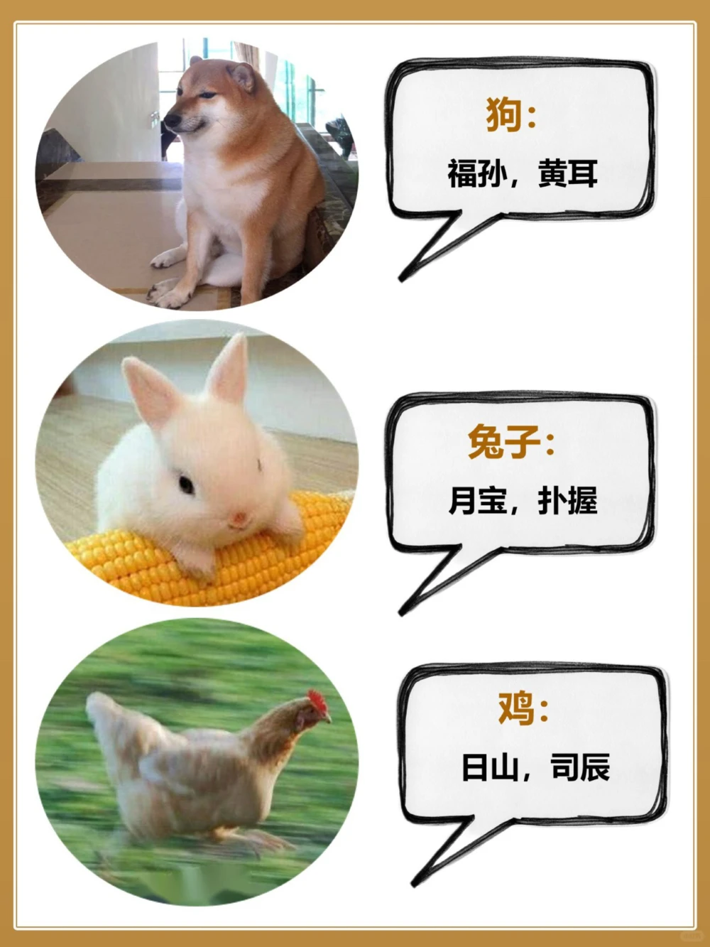 常见动物的古代别称古人真的好讲究_中小学精品资料(高清可打印)_百科知识大全集312份高清资料整理版