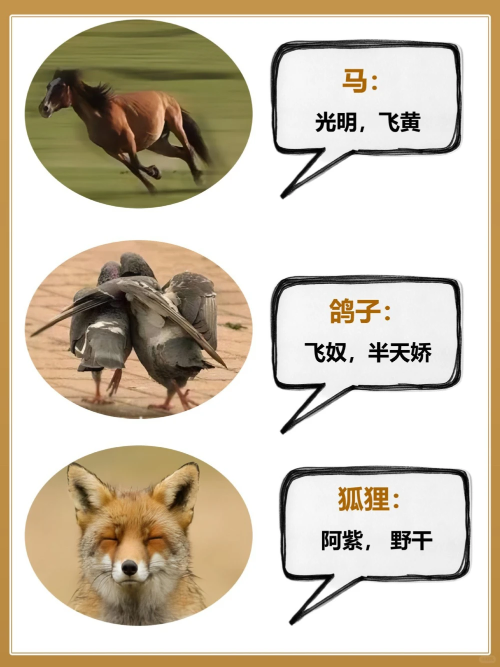 常见动物的古代别称古人真的好讲究_中小学精品资料(高清可打印)_百科知识大全集312份高清资料整理版