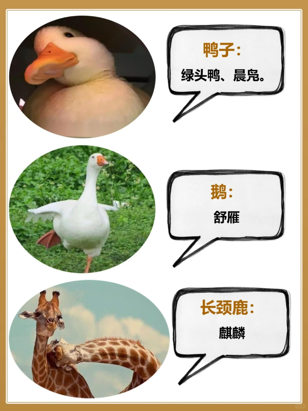 常见动物的古代别称古人真的好讲究_中小学精品资料(高清可打印)_百科知识大全集312份高清资料整理版