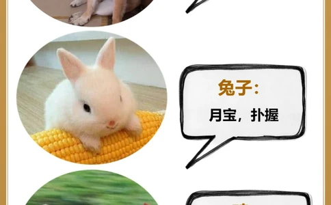 常见动物的古代别称古人真的好讲究_中小学精品资料(高清可打印)_百科知识大全集312份高清资料整理版