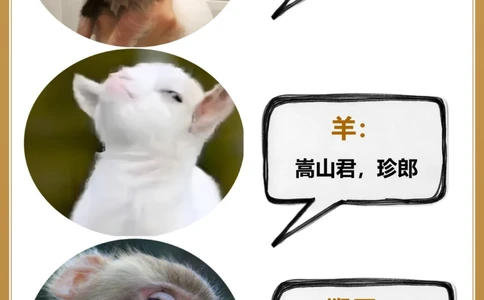 常见动物的古代别称古人真的好讲究_中小学精品资料(高清可打印)_百科知识大全集312份高清资料整理版