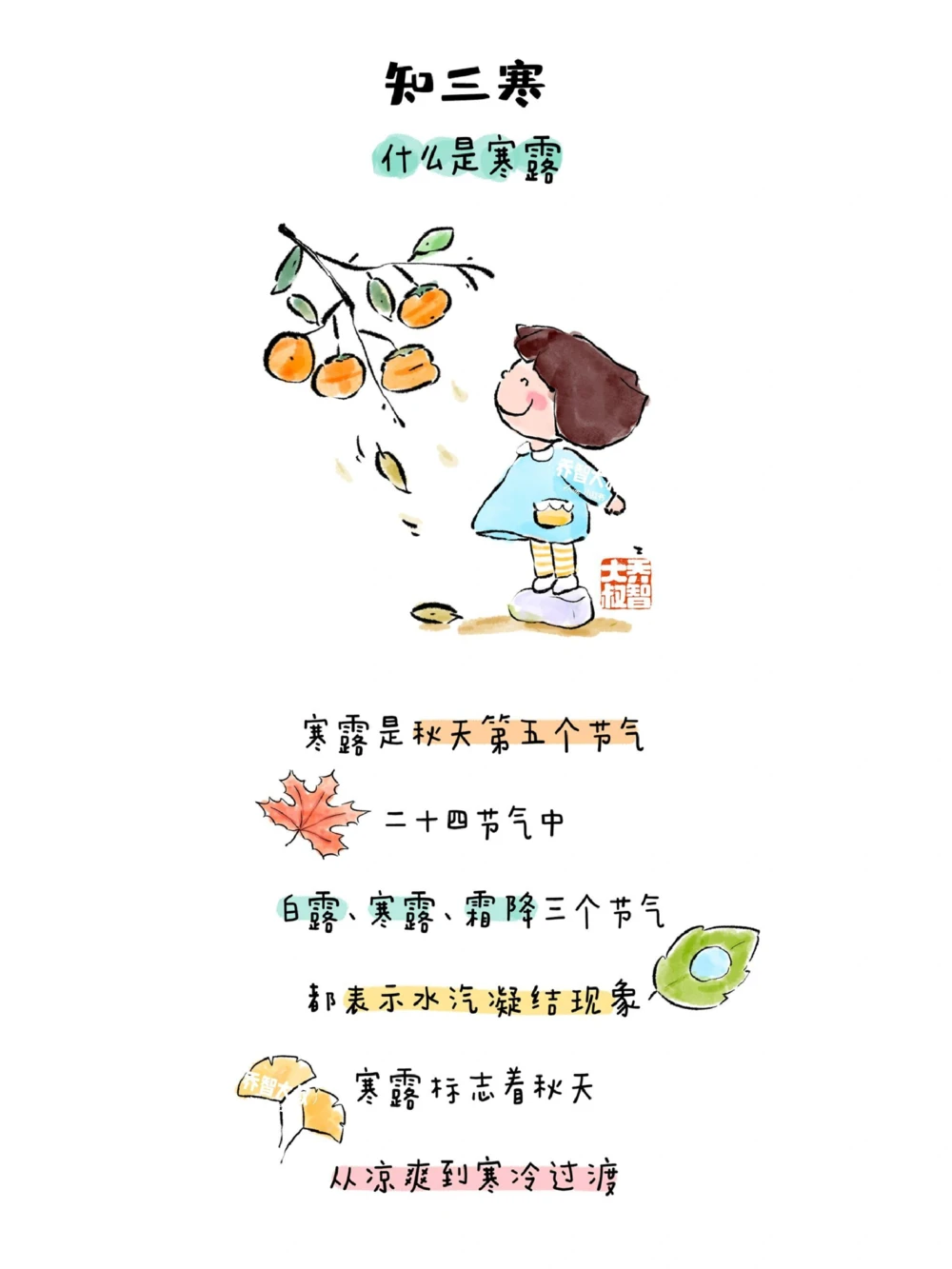 带孩子了解24节气&mdash;&mdash;寒露_中小学精品资料(高清可打印)_常识知识大全集140份高清资料整理版