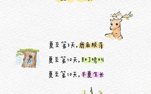 带孩子了解二十四节气之夏至_中小学精品资料(高清可打印)_常识知识大全集140份高清资料整理版