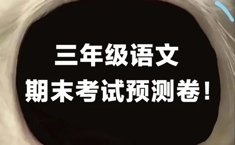 三下期末语文考试预测卷-没考的快做一遍_2025抖音最火小学全科全年级资料大全集超完整版_小学语文VIP资源禁止外传