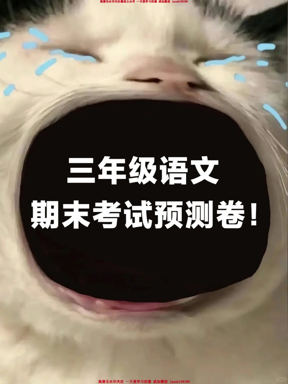 三下期末语文考试预测卷-没考的快做一遍_2025抖音最火小学全科全年级资料大全集超完整版_小学语文VIP资源禁止外传