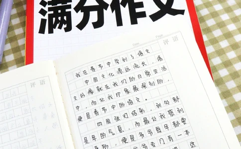 小学寒假作业-关于&ldquo;春节&rdquo;的满分作文_2025抖音最火小学全科全年级资料大全集超完整版_小学作文VIP资源禁止外传