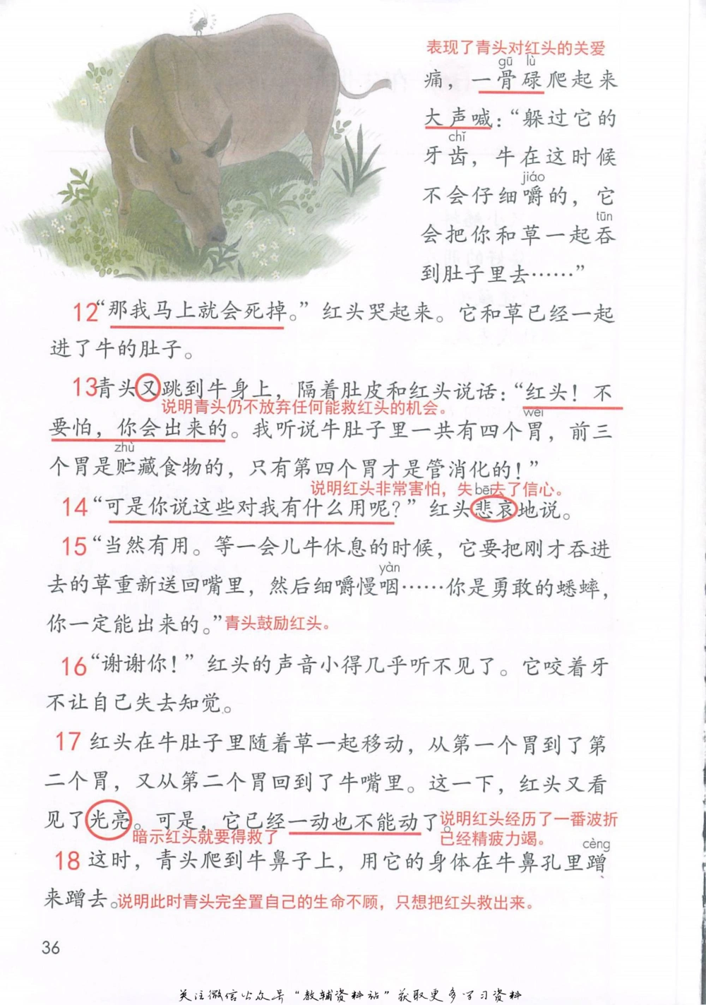 三年级上册语文部编版课堂笔记（抖音版）_小学初中学霸笔记类资料汇总6.33GB_小学同步课堂笔记2.76GB_1~6年级全册语文部编版课堂笔记