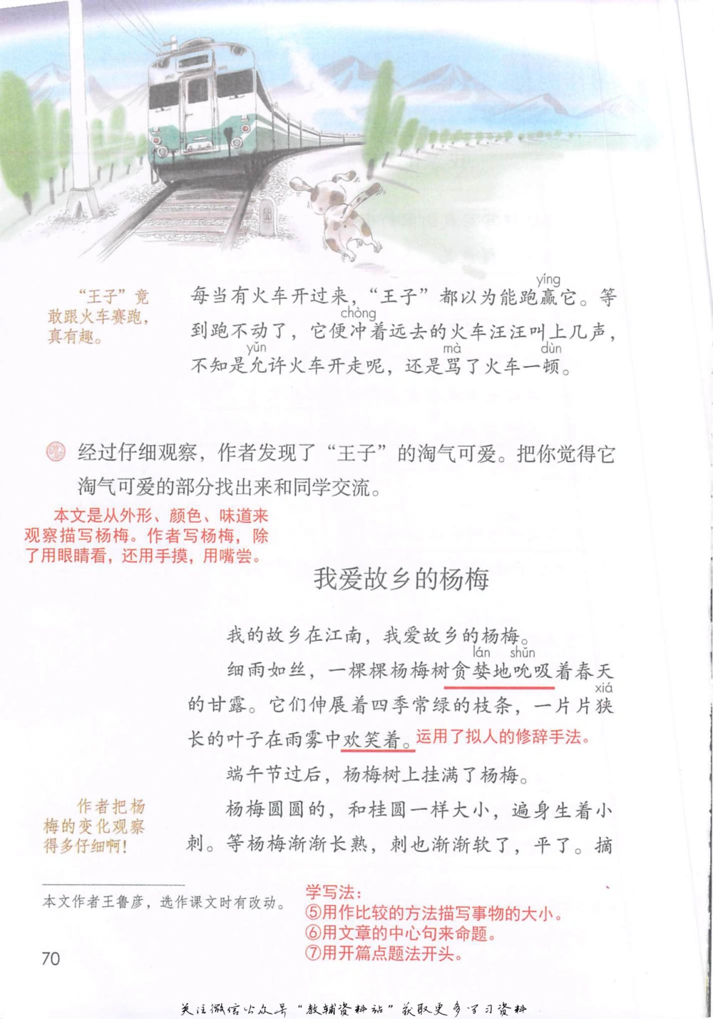 三年级上册语文部编版课堂笔记（抖音版）_小学初中学霸笔记类资料汇总6.33GB_小学同步课堂笔记2.76GB_1~6年级全册语文部编版课堂笔记