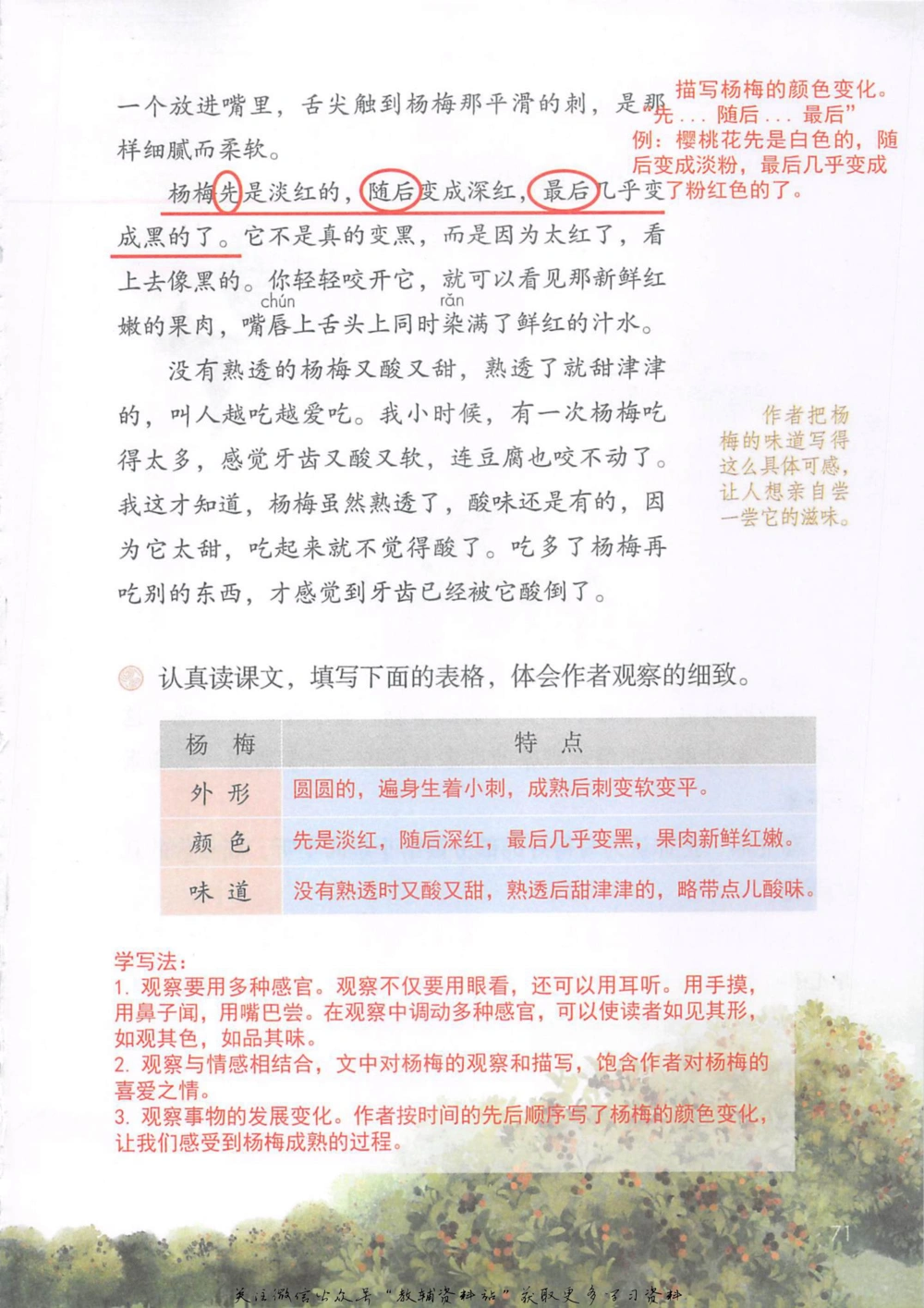 三年级上册语文部编版课堂笔记（抖音版）_小学初中学霸笔记类资料汇总6.33GB_小学同步课堂笔记2.76GB_1~6年级全册语文部编版课堂笔记