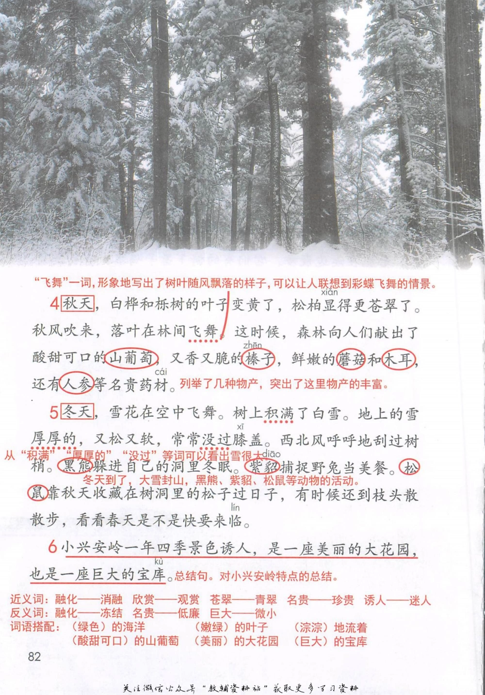 三年级上册语文部编版课堂笔记（抖音版）_小学初中学霸笔记类资料汇总6.33GB_小学同步课堂笔记2.76GB_1~6年级全册语文部编版课堂笔记