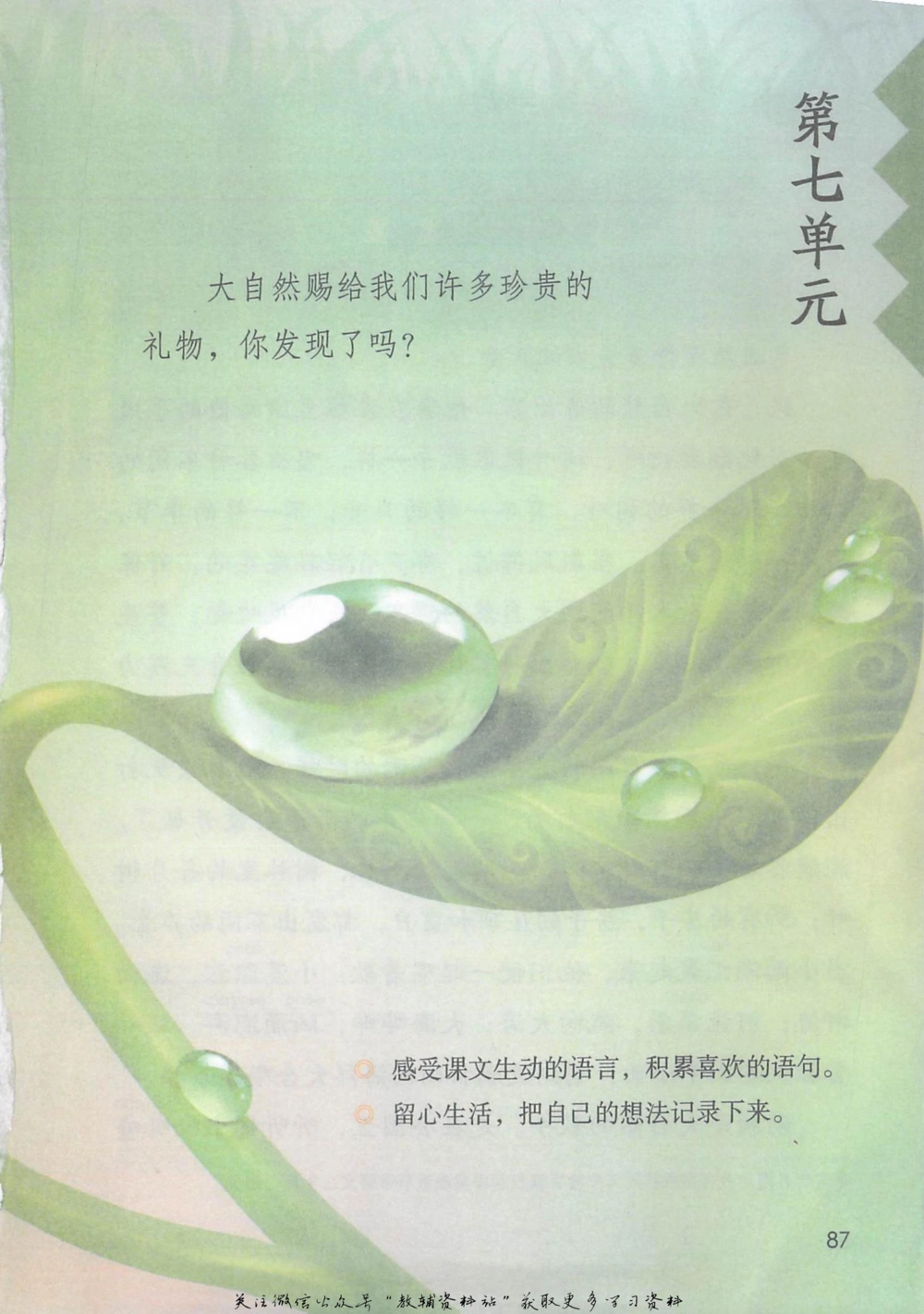 三年级上册语文部编版课堂笔记（抖音版）_小学初中学霸笔记类资料汇总6.33GB_小学同步课堂笔记2.76GB_1~6年级全册语文部编版课堂笔记