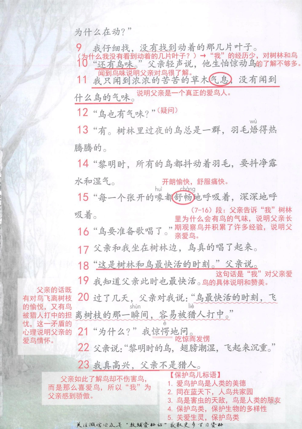 三年级上册语文部编版课堂笔记（抖音版）_小学初中学霸笔记类资料汇总6.33GB_小学同步课堂笔记2.76GB_1~6年级全册语文部编版课堂笔记