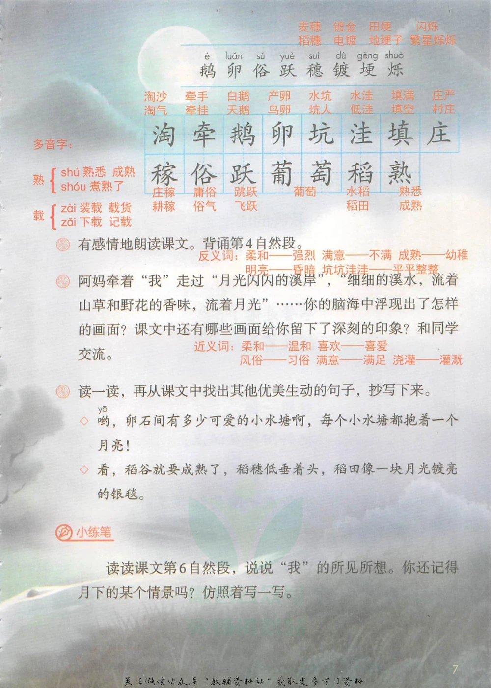 四年级上册语文部编版课堂笔记（抖音版）_小学初中学霸笔记类资料汇总6.33GB_小学同步课堂笔记2.76GB_1~6年级全册语文部编版课堂笔记