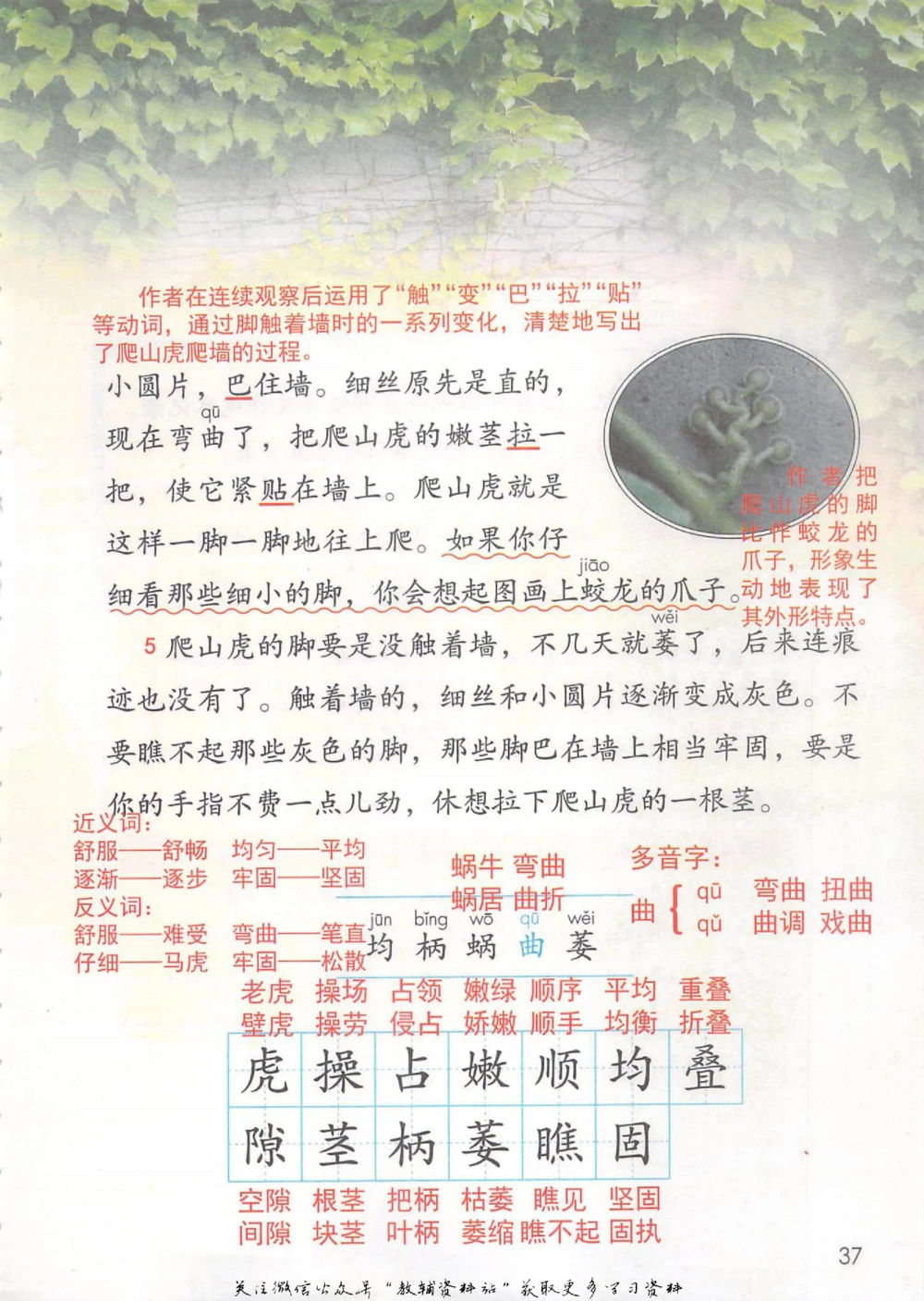 四年级上册语文部编版课堂笔记（抖音版）_小学初中学霸笔记类资料汇总6.33GB_小学同步课堂笔记2.76GB_1~6年级全册语文部编版课堂笔记