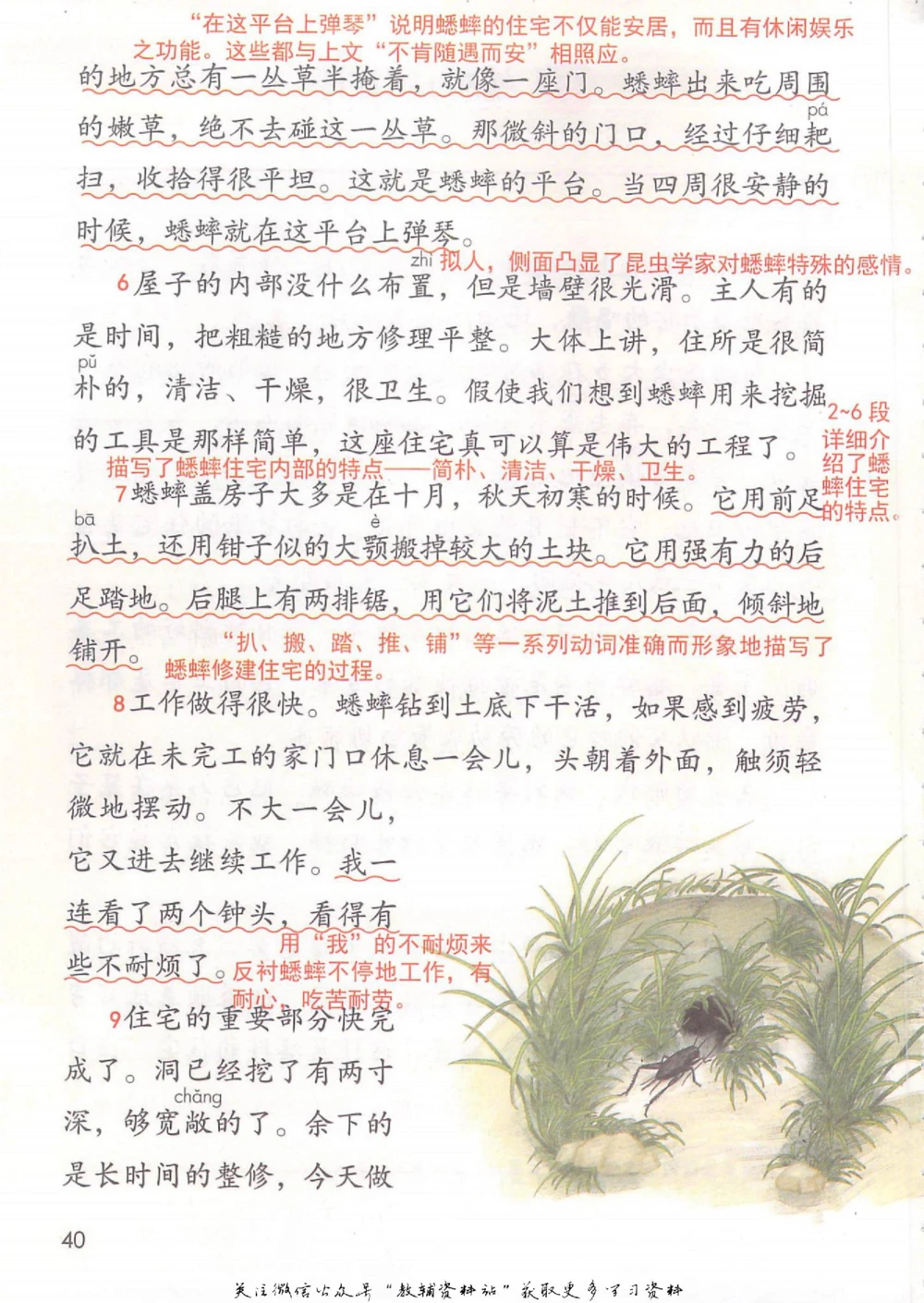 四年级上册语文部编版课堂笔记（抖音版）_小学初中学霸笔记类资料汇总6.33GB_小学同步课堂笔记2.76GB_1~6年级全册语文部编版课堂笔记