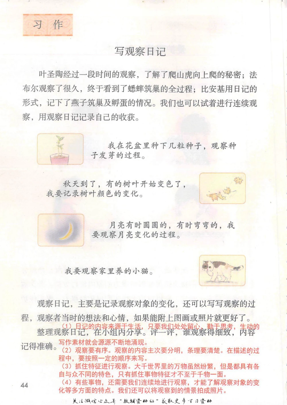 四年级上册语文部编版课堂笔记（抖音版）_小学初中学霸笔记类资料汇总6.33GB_小学同步课堂笔记2.76GB_1~6年级全册语文部编版课堂笔记