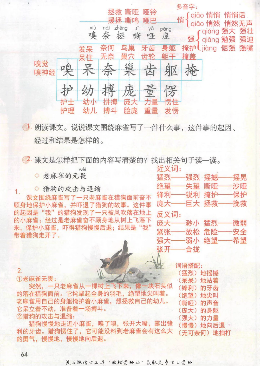 四年级上册语文部编版课堂笔记（抖音版）_小学初中学霸笔记类资料汇总6.33GB_小学同步课堂笔记2.76GB_1~6年级全册语文部编版课堂笔记