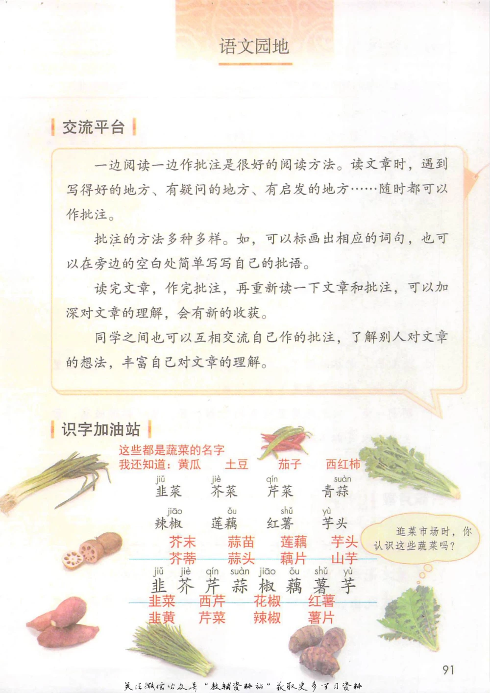 四年级上册语文部编版课堂笔记（抖音版）_小学初中学霸笔记类资料汇总6.33GB_小学同步课堂笔记2.76GB_1~6年级全册语文部编版课堂笔记