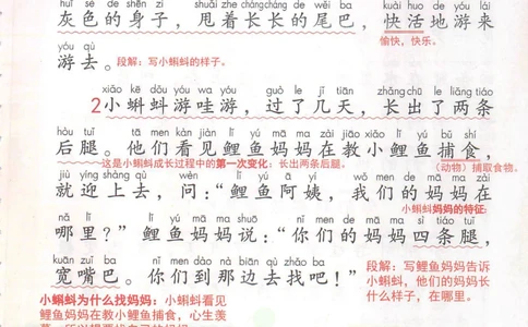 二年级上册语文部编版课堂笔记（抖音版）_小学初中学霸笔记类资料汇总6.33GB_小学同步课堂笔记2.76GB_1~6年级全册语文部编版课堂笔记