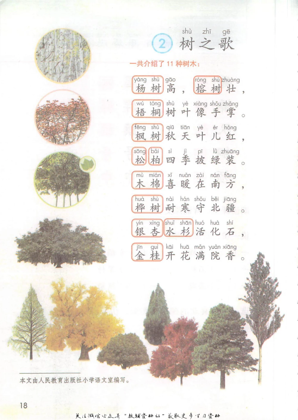 二年级上册语文部编版课堂笔记（抖音版）_小学初中学霸笔记类资料汇总6.33GB_小学同步课堂笔记2.76GB_1~6年级全册语文部编版课堂笔记