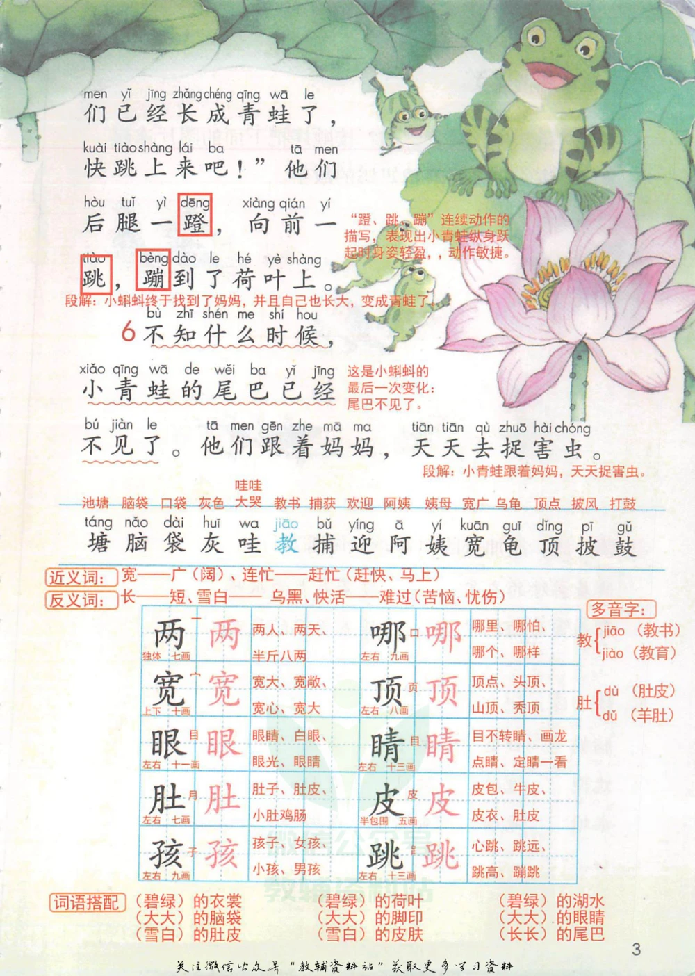 二年级上册语文部编版课堂笔记（抖音版）_小学初中学霸笔记类资料汇总6.33GB_小学同步课堂笔记2.76GB_1~6年级全册语文部编版课堂笔记