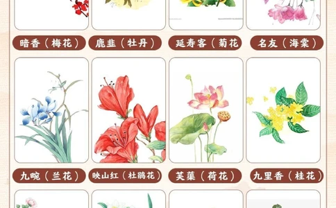 古人对花卉的雅称有多绝-孩子一定要知道_2025抖音最火小学全科全年级资料大全集超完整版_小学语文VIP资源禁止外传