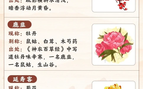 古人对花卉的雅称有多绝-孩子一定要知道_2025抖音最火小学全科全年级资料大全集超完整版_小学语文VIP资源禁止外传