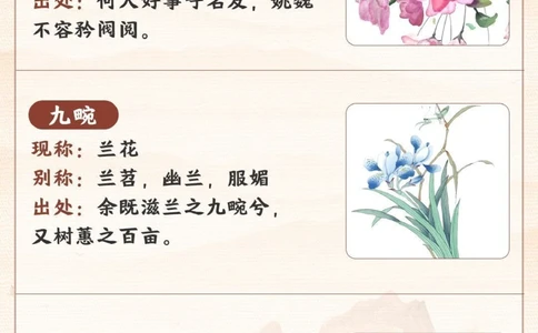 古人对花卉的雅称有多绝-孩子一定要知道_2025抖音最火小学全科全年级资料大全集超完整版_小学语文VIP资源禁止外传