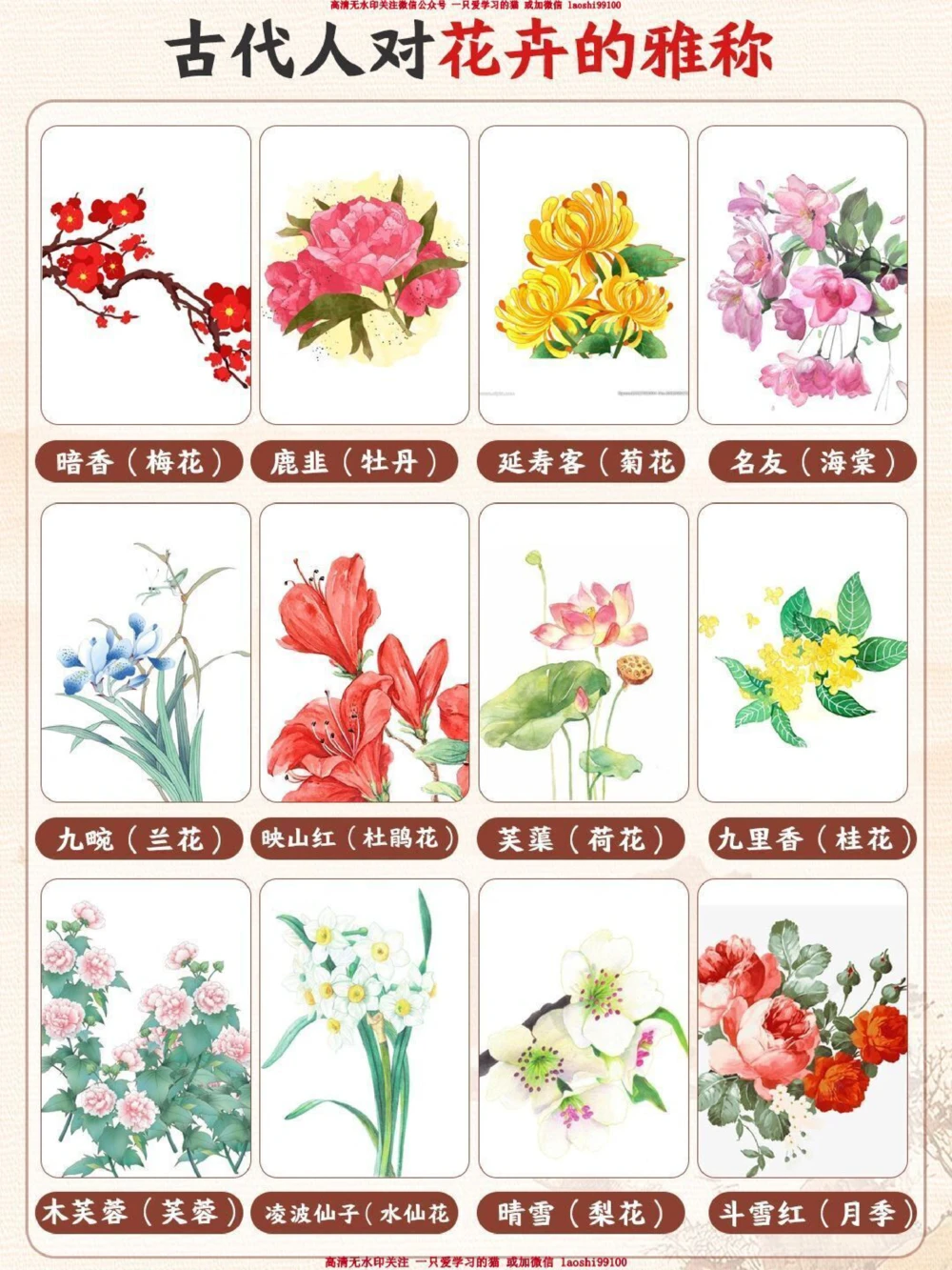 古人对花卉的雅称有多绝-孩子一定要知道_2025抖音最火小学全科全年级资料大全集超完整版_小学语文VIP资源禁止外传