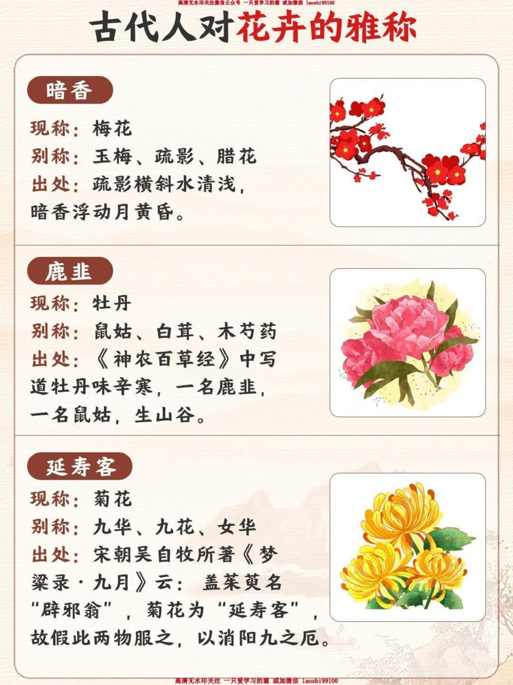 古人对花卉的雅称有多绝-孩子一定要知道_2025抖音最火小学全科全年级资料大全集超完整版_小学语文VIP资源禁止外传