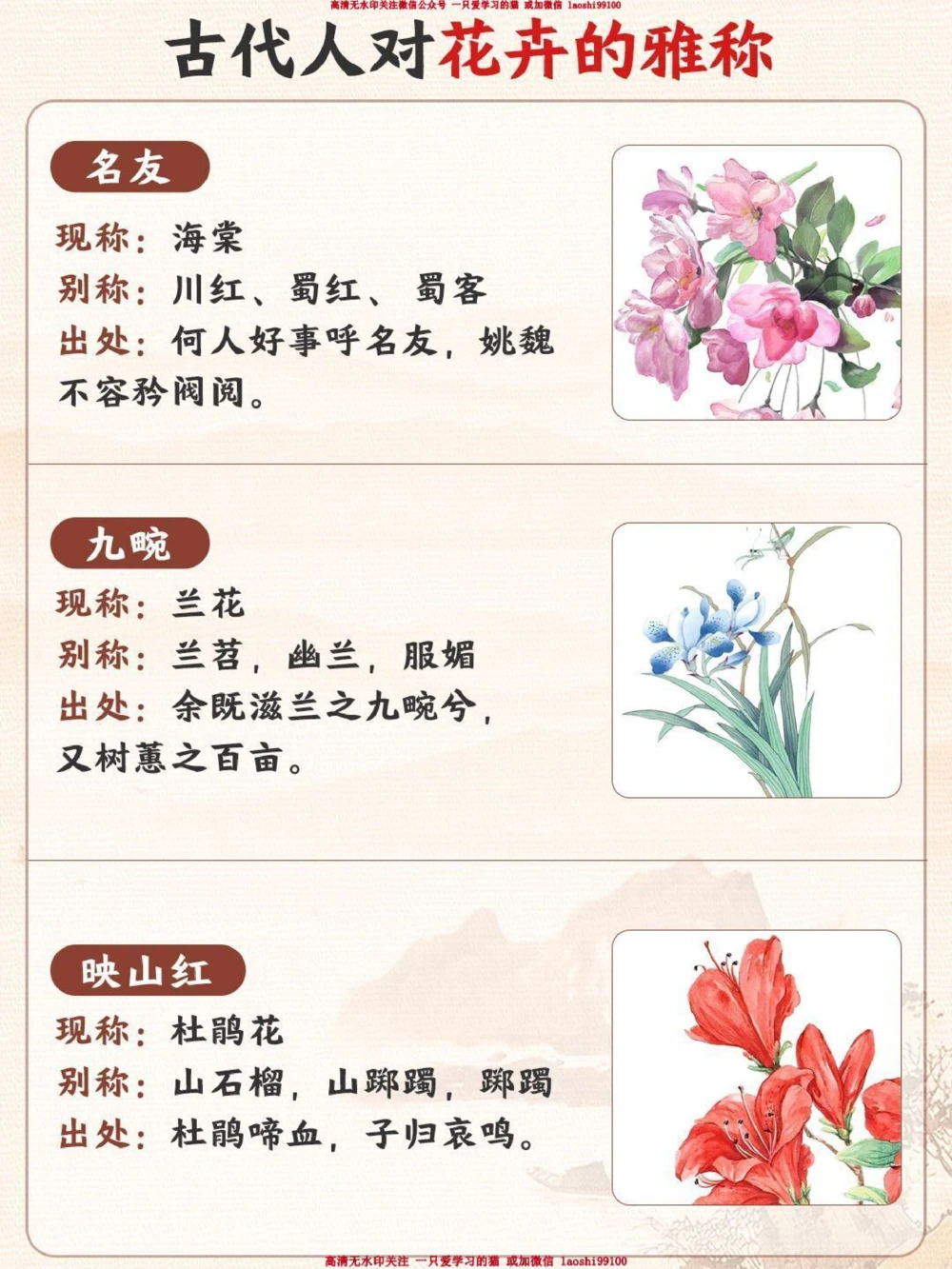 古人对花卉的雅称有多绝-孩子一定要知道_2025抖音最火小学全科全年级资料大全集超完整版_小学语文VIP资源禁止外传