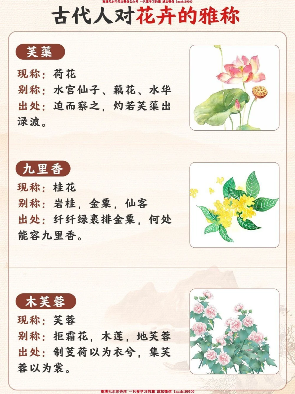 古人对花卉的雅称有多绝-孩子一定要知道_2025抖音最火小学全科全年级资料大全集超完整版_小学语文VIP资源禁止外传