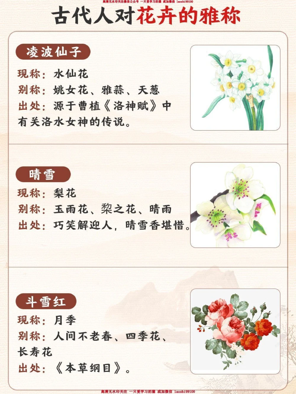 古人对花卉的雅称有多绝-孩子一定要知道_2025抖音最火小学全科全年级资料大全集超完整版_小学语文VIP资源禁止外传