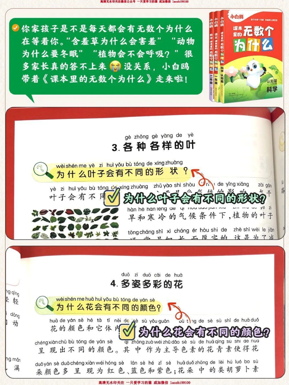 古人对花卉的雅称有多绝-孩子一定要知道_2025抖音最火小学全科全年级资料大全集超完整版_小学语文VIP资源禁止外传