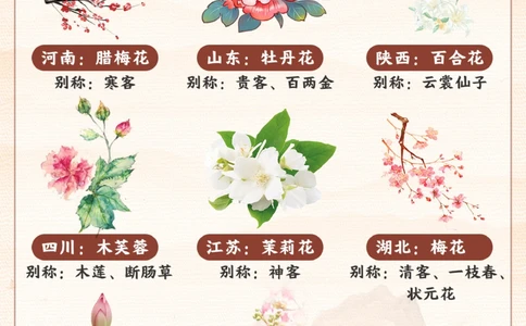 我国各个省份的代表省花-你知道几个？_2025抖音最火小学全科全年级资料大全集超完整版_小学常识VIP资源禁止外传
