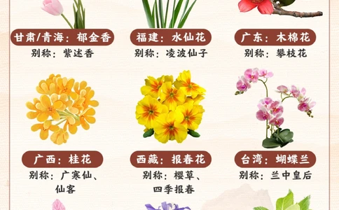 我国各个省份的代表省花-你知道几个？_2025抖音最火小学全科全年级资料大全集超完整版_小学常识VIP资源禁止外传
