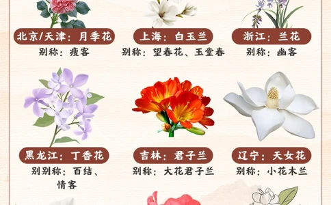 我国各个省份的代表省花-你知道几个？_2025抖音最火小学全科全年级资料大全集超完整版_小学常识VIP资源禁止外传