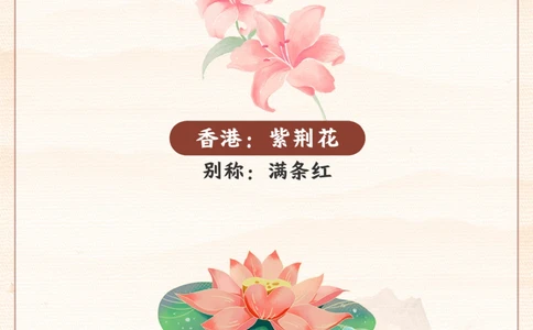 我国各个省份的代表省花-你知道几个？_2025抖音最火小学全科全年级资料大全集超完整版_小学常识VIP资源禁止外传