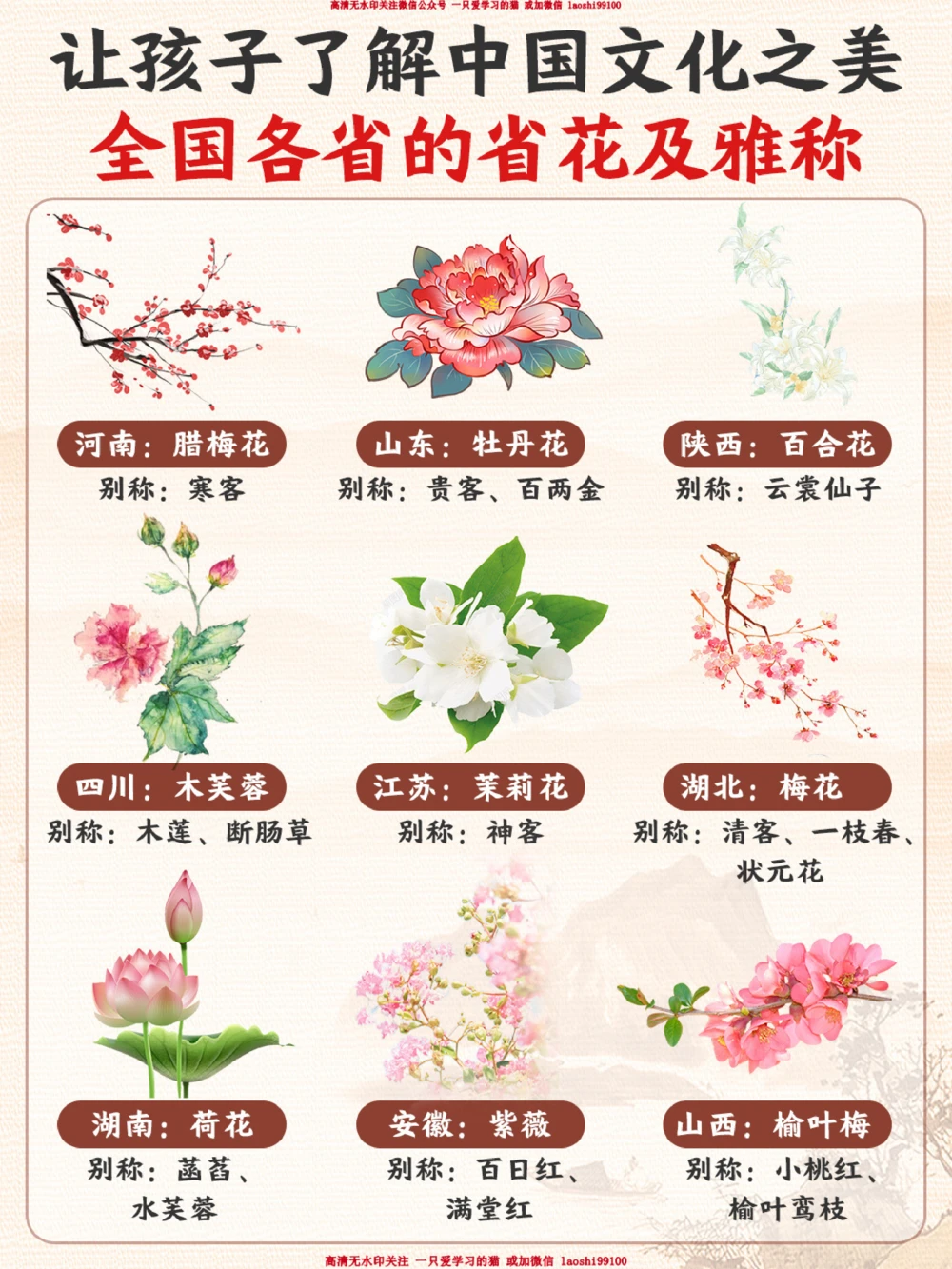 我国各个省份的代表省花-你知道几个？_2025抖音最火小学全科全年级资料大全集超完整版_小学常识VIP资源禁止外传