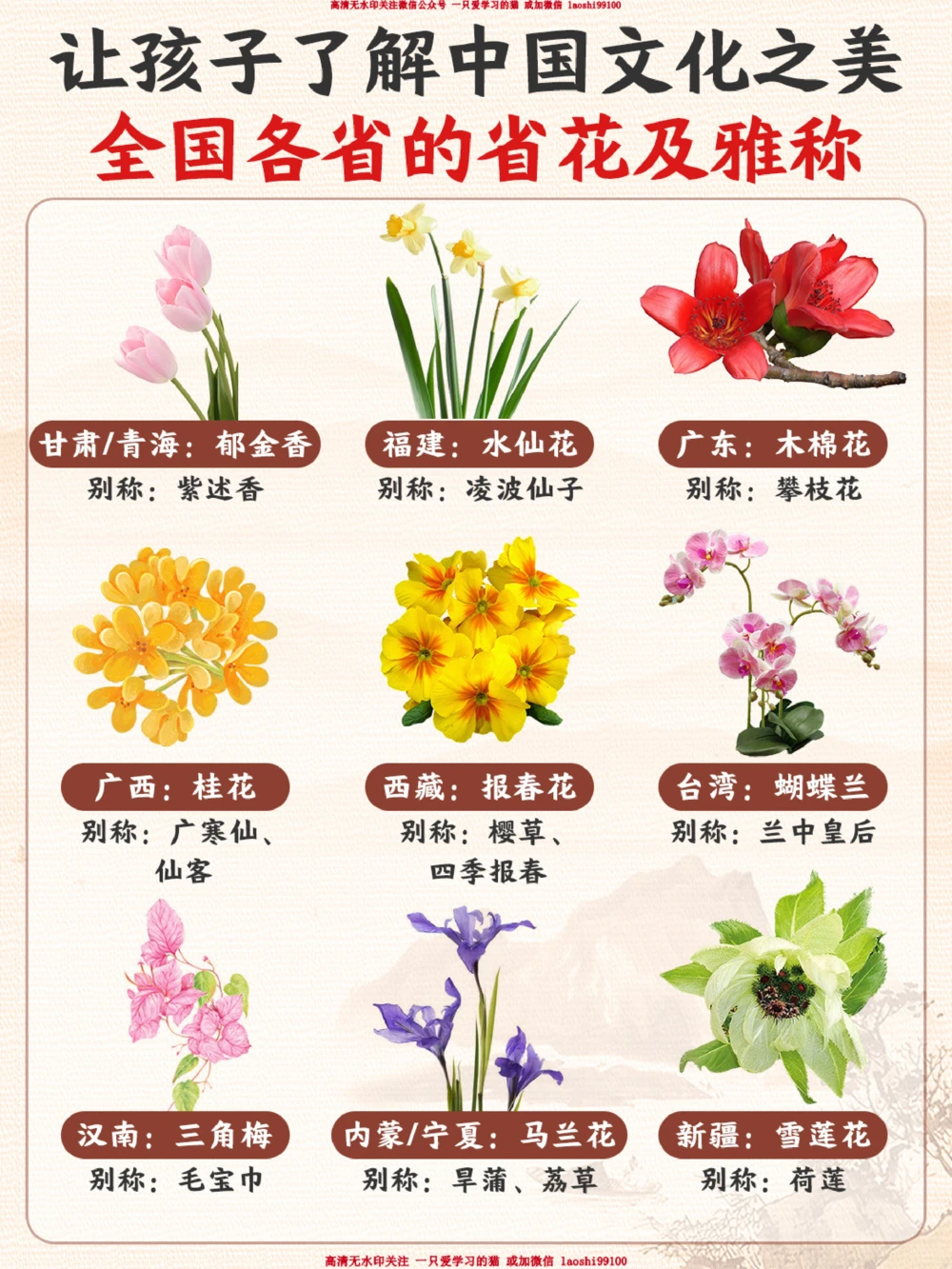 我国各个省份的代表省花-你知道几个？_2025抖音最火小学全科全年级资料大全集超完整版_小学常识VIP资源禁止外传