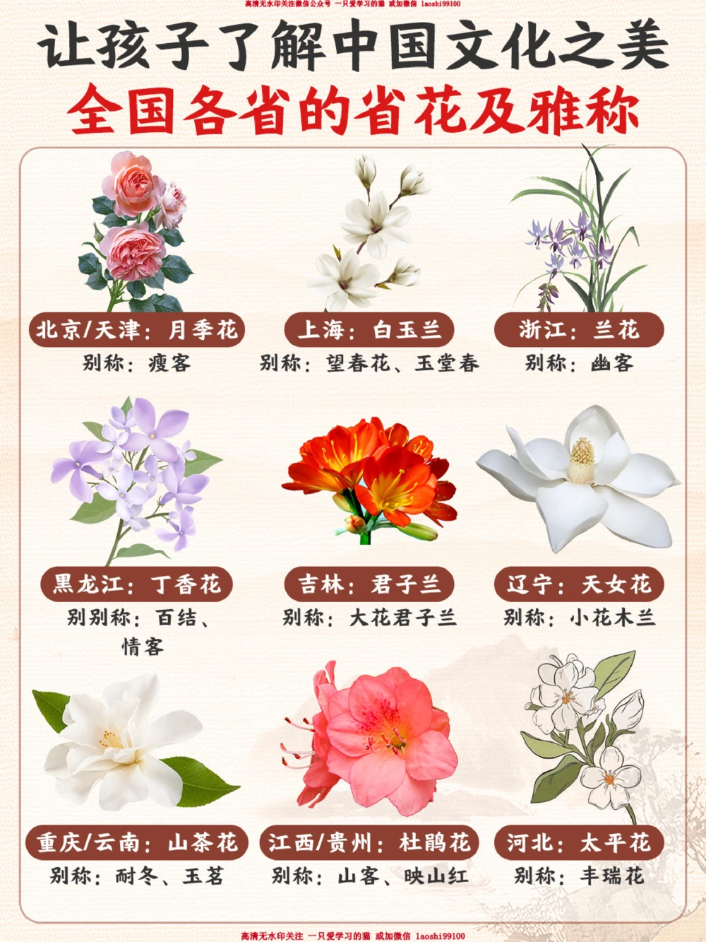 我国各个省份的代表省花-你知道几个？_2025抖音最火小学全科全年级资料大全集超完整版_小学常识VIP资源禁止外传