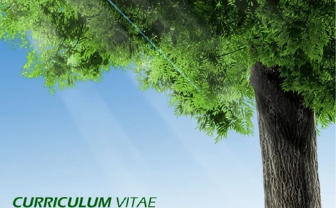 129.茁壮大树_表格式_适用于应届生_1页式_无内容_无封面_26考研复试_10考研复试资料25_考研经典面试系列（复试技巧调剂指导口语指导自我介绍导师模板）_简历模板大全