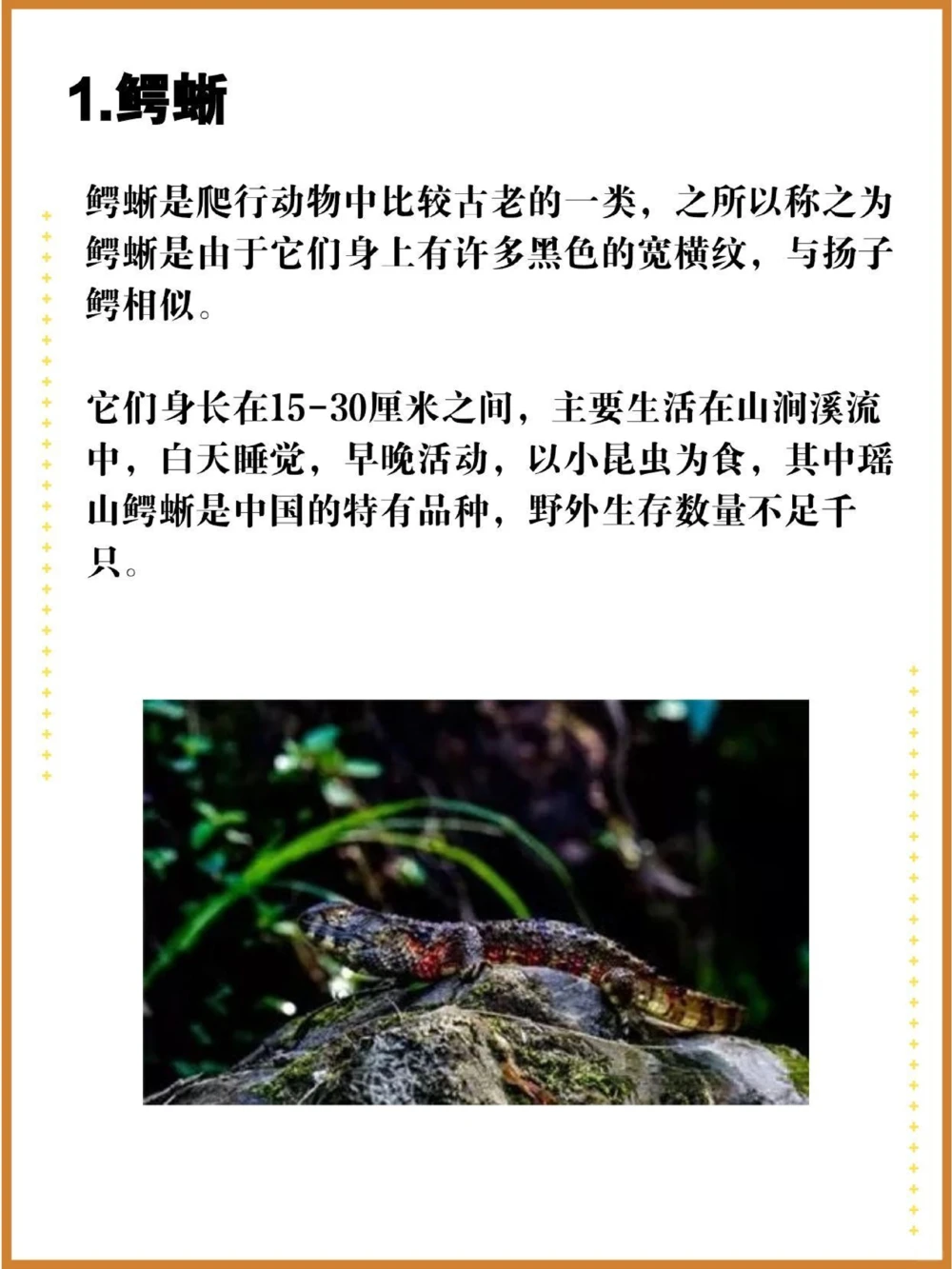 比大熊猫还珍贵的中国特有十大濒危物种！_中小学精品资料(高清可打印)_百科知识大全集312份高清资料整理版