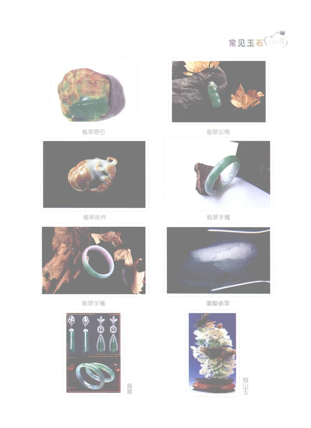 0269珠宝玉石鉴定实训_X018-玉石珠宝鉴定教程最新合集_5、玉石鉴定专题全套课程_玉石电子书_玉石电子书